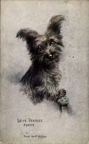 Künstler Ak West Watson, Maud, Skye Terrier Puppy, Hund, Welpe