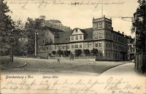 Ak Blankenburg am Harz, Gebirgshotel, Inh. F. Erche, Straßenpartie