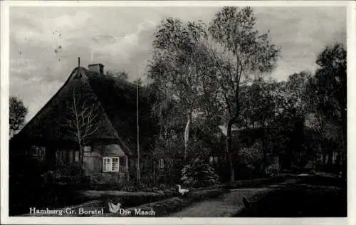 Ak Hamburg Groß Borstel, Die Masch