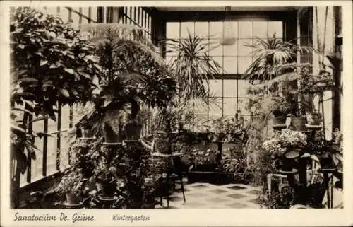 Ak Fröndenberg an der Ruhr, Sanatorium Dr. Grüne, Wintergarten