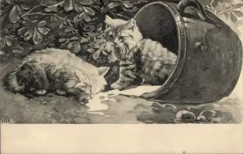 Künstler Litho Katzen im Milchkrug, Kätzchen, Milch