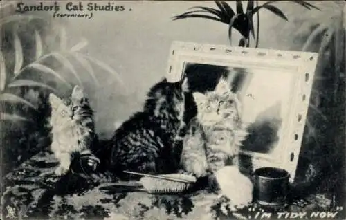Ak Katze betrachtet sich im Spiegel, Bürste, Kätzchen
