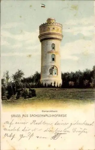 Ak Sachsenwald Hofriede Aumühle im Herzogtum Lauenburg, Bismarckturm