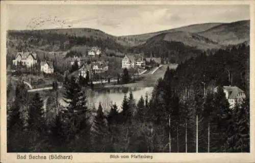 Ak Bad Sachsa im Harz, Panorama, Blick vom Pfaffenberg