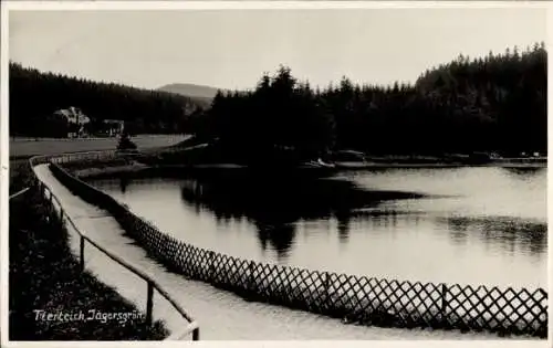 Foto Ak Jägersgrün Tannenbergsthal im Vogtland, Tierteich