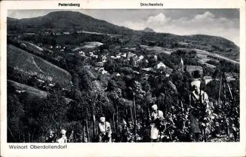 Ak Oberdollendorf Königswinter am Rhein, Weinanbau, Petersberg, Drachenfels