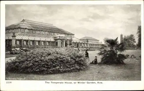 Ak Kew London Borough of Richmond upon Thames, The Temperate House oder Winter Garten