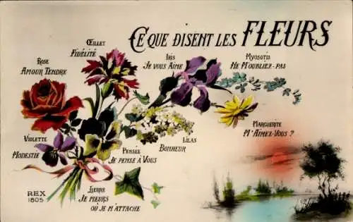 Ak What Flowers Say, Rose, Tender Love, Lilac, Happiness, Iris, I Love You