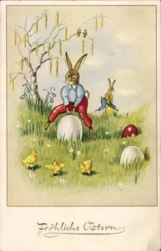 Ak Glückwunsch Ostern, Osterhasen, Ostereier, Wiese, Küken
