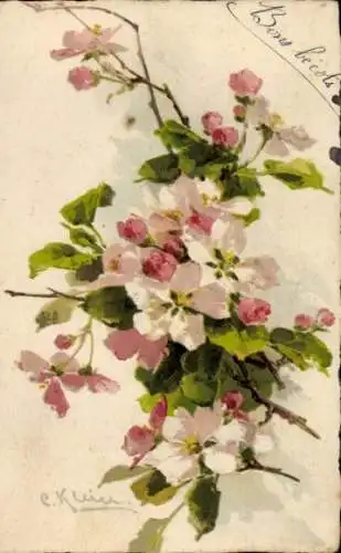 Künstler Ak Klein, C., Blühende pinke Blumen