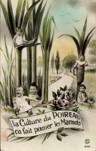 Ak Geburt, Babys im Garten, Pflanzen, Rosen