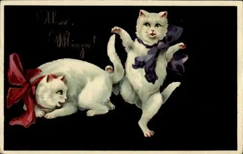 Präge Ak Zwei weiße Katzen, Schleifen