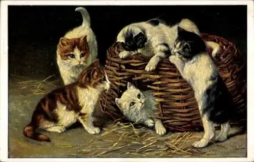 Ak Neugierige Katzen, Korb, Hauskatzen