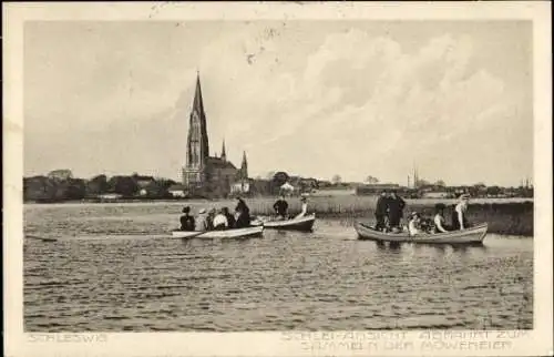 Ak Schleswig an der Schlei, Abfahrt zum Sammeln der Möweneier