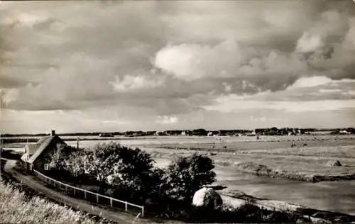 Ak Ockholm in Nordfriesland, Ockholmer Koog