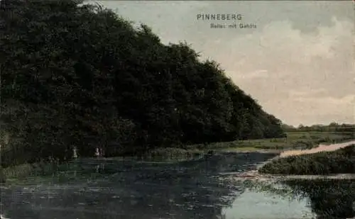Ak Pinneberg in Holstein, Rellau mit Gehölz