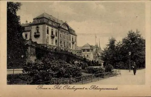 Ak Bonn am Rhein, Oberbergamt, Rheinpromenade