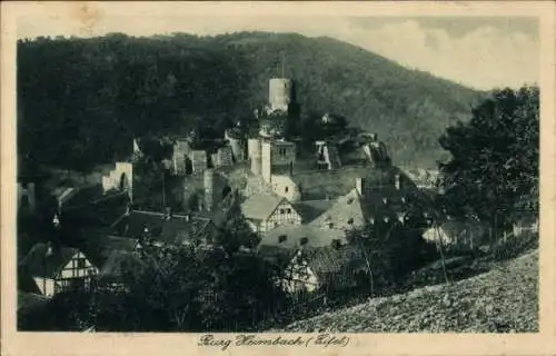 Ak Heimbach in der Eifel, Burg