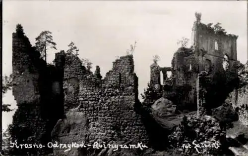 Ak Krosno Odrzańskie Crossen Oder Ostbrandenburg, Ruinen von Schloss Kamieniec