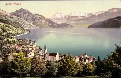 Ak Weggis Kanton Luzern, Panorama