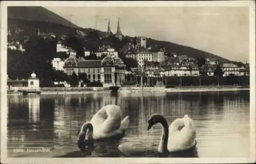 Ak Neuchâtel Neuenburg Stadt, Stadt vom Wasser aus gesehen, Schwäne