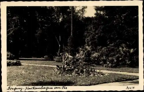 Ak Bregenz am Bodensee Vorarlberg, Parkanlagen