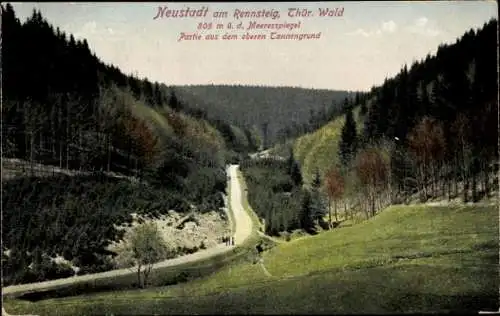 Ak Neustadt am Rennsteig Großbreitenbach in Thüringen, oberer Tannengrund, Panorama