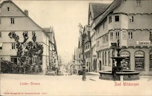 Ak Bad Wildungen in Hessen, Lindenstraße, Brunnen, Loewen-Apotheke