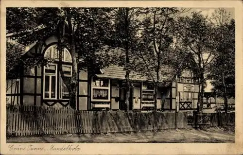 Ak Mandelholz Elend Oberharz am Brocken, Gast und Pensionshaus Grüne Tanne