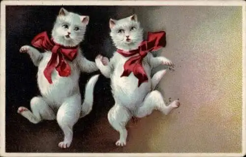 Ak Zwei weiße Katzen mit roten Schleifen