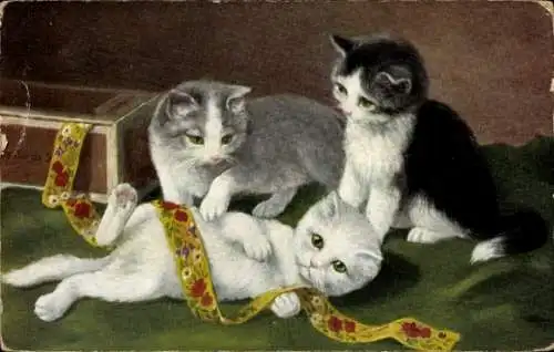 Ak Katzenkinder beim Spiel, Schleife, Katzen