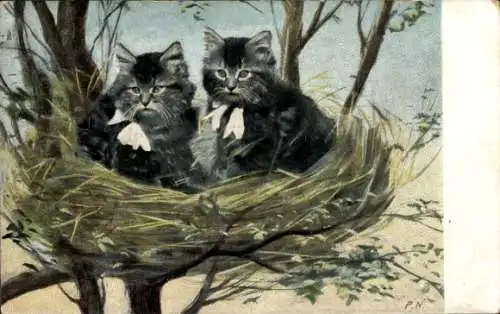 Ak Zwei junge Katzen im Vogelnest