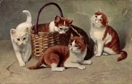 Ak Vier junge Katzen, Korb, Kätzchen