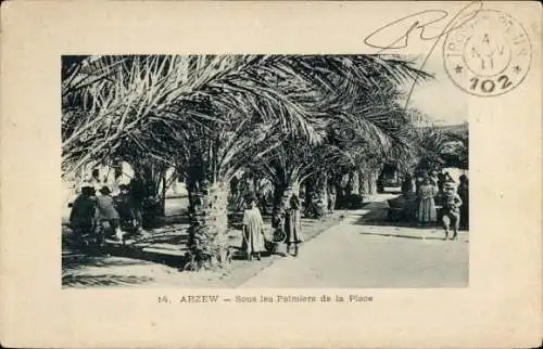 Ak Arzew Algerien, Unter den Palmen des Ortes