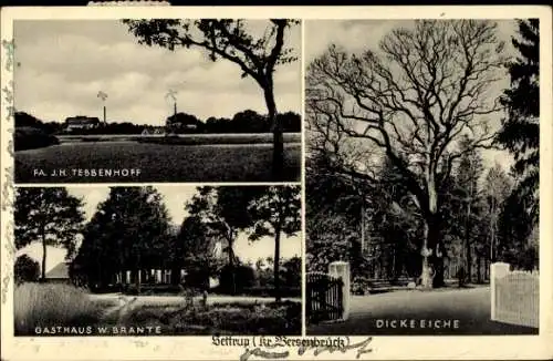 Ak Settrup Bersenbrück in Niedersachsen, Fa. J.H. Tebbenhoff, Gasthaus W. Brante, Dicke Eiche