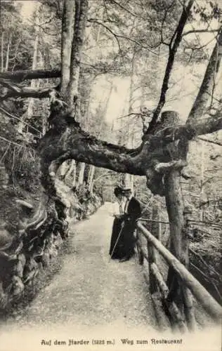 Ak Interlaken Kanton Bern Schweiz, Auf dem Harder, Weg zum Restaurant