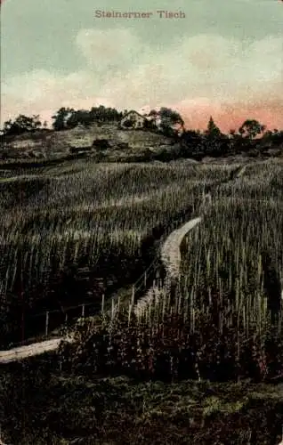 Ak Thal Kanton Sankt Gallen Schweiz, Steinerner Tisch