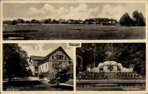 Ak Tauer in der Niederlausitz, Gesamtansicht, Villa Buder, Kriegerdenkmal