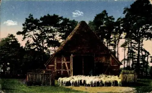 Bahnpoststempel Ludwigslust - Neubrandenburg (Mckl.), Zug 166, 20.9.25, auf Ak