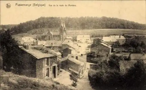 Ak Pussemange Wallonien Namur, Route de Membre