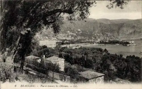 Ak Beaulieu sur Mer Alpes Maritimes, Panorama, Olivenbäume