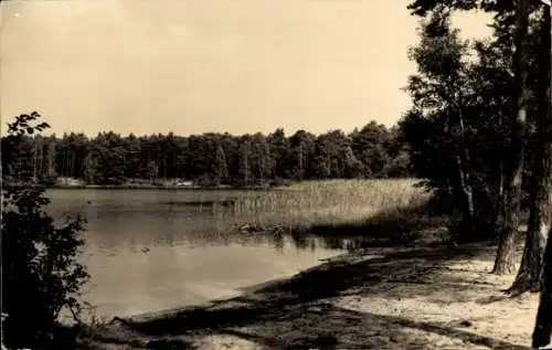 Ak Prieros Heidesee in der Mark, Badestelle am Frauensee