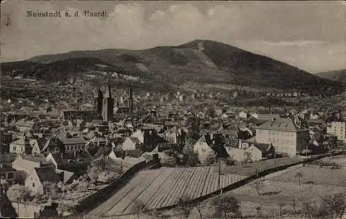 Ak Neustadt an der Haardt Neustadt an der Weinstraße, Panorama