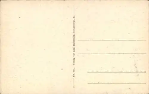 Ak Neustadt an der Haardt Neustadt an der Weinstraße, Panorama