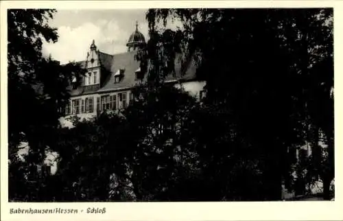 Ak Babenhausen in Hessen, Schloss