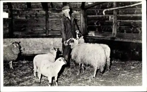 Foto Ak Bauernhof, Tiere, Schafe, Bauer