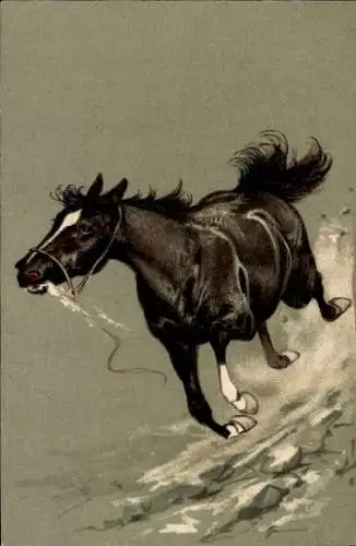 Präge Litho Rappe im Galopp, Pferd
