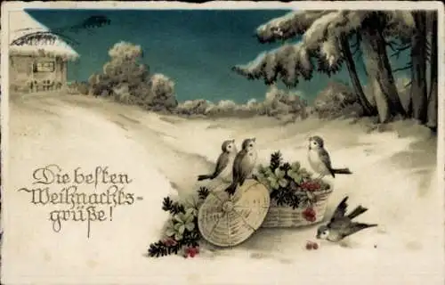 Ak Glückwunsch Weihnachten, Winterlandschaft, Vögel, Klee