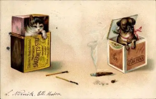 Künstler Ak Katzen, Streichholzschachtel, Hund, Zigarrenbox