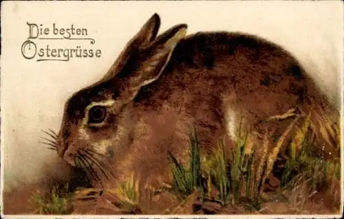 Ak Glückwunsch Ostern, Brauner Hase